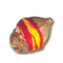 Manufacturers Exporters and Wholesale Suppliers of Laghu Nariyal Coconut Faridabad Haryana Laghu Nariyal Coconut